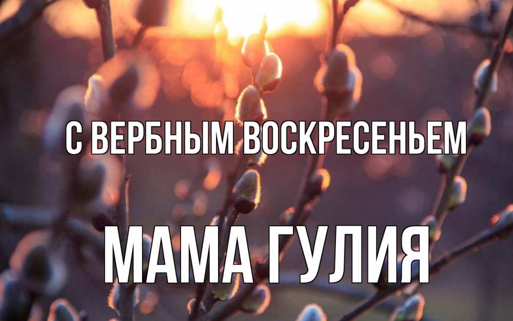 Открытка на каждый день с именем, Мама-Гулия С вербным воскресеньем верба Прикольная открытка с пожеланием онлайн скачать бесплатно 