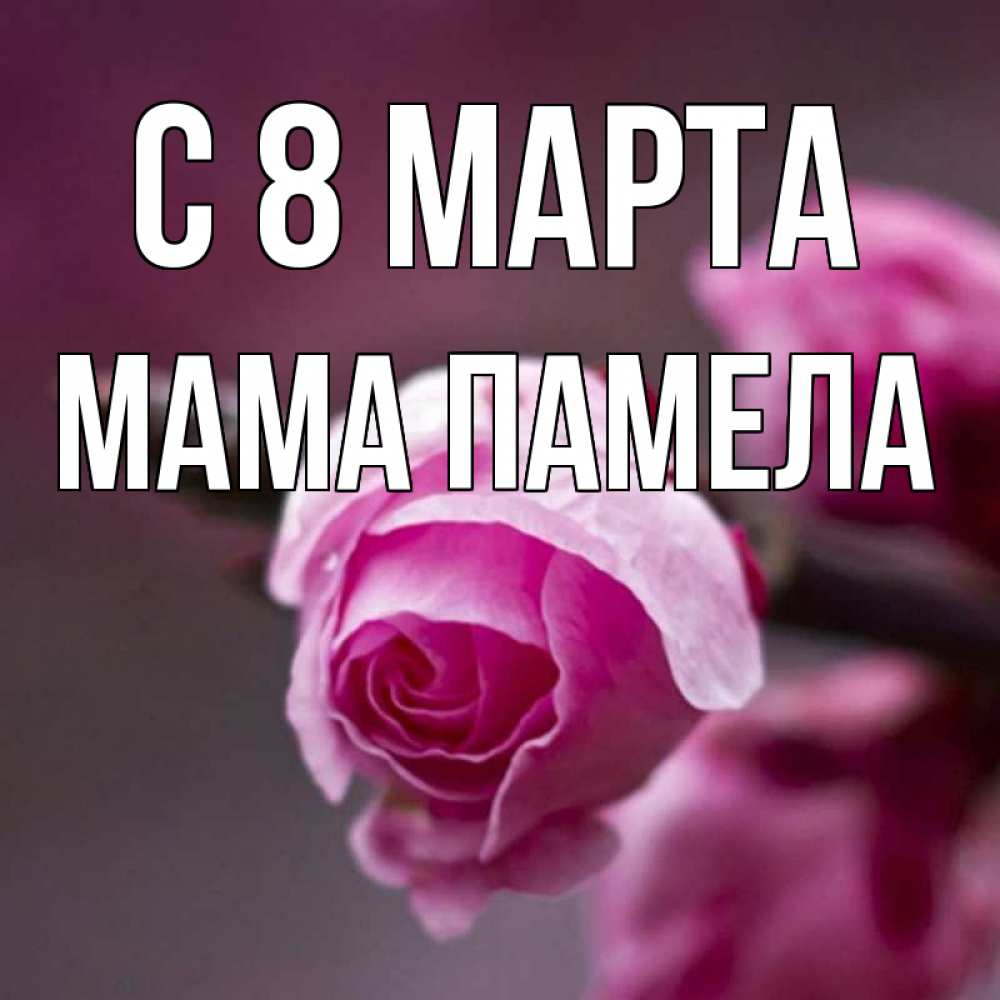 Открытка на каждый день с именем, Мама-Памела С 8 марта весна Прикольная открытка с пожеланием онлайн скачать бесплатно 