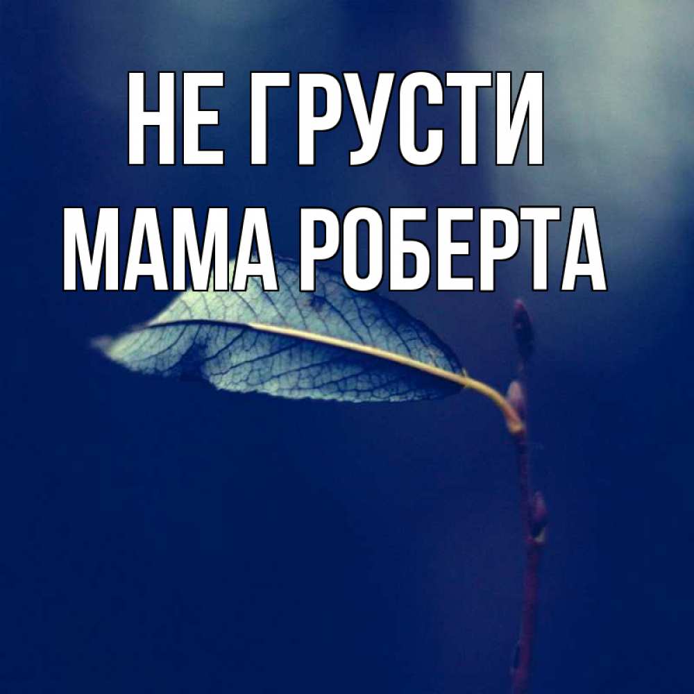 Открытка на каждый день с именем, Мама-Роберта Не грусти растение Прикольная открытка с пожеланием онлайн скачать бесплатно 