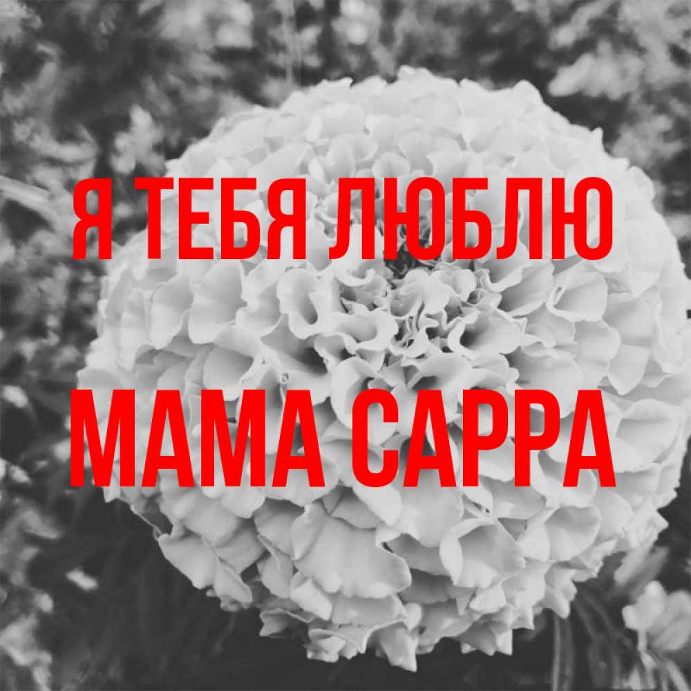Открытка на каждый день с именем, Мама-Сарра Я тебя люблю подпись Прикольная открытка с пожеланием онлайн скачать бесплатно 