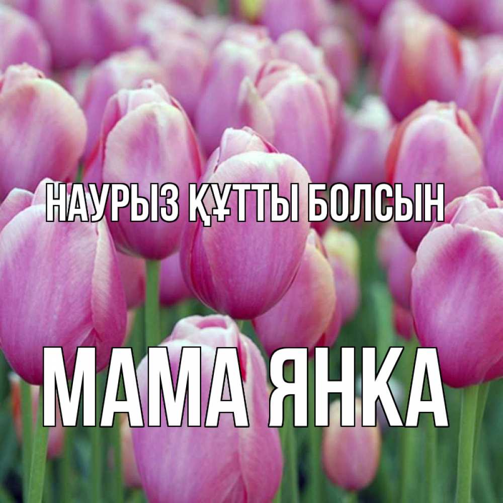 Открытка на каждый день с именем, Мама-Янка Наурыз құтты болсын на наурыз  день 3 Прикольная открытка с пожеланием онлайн скачать бесплатно 