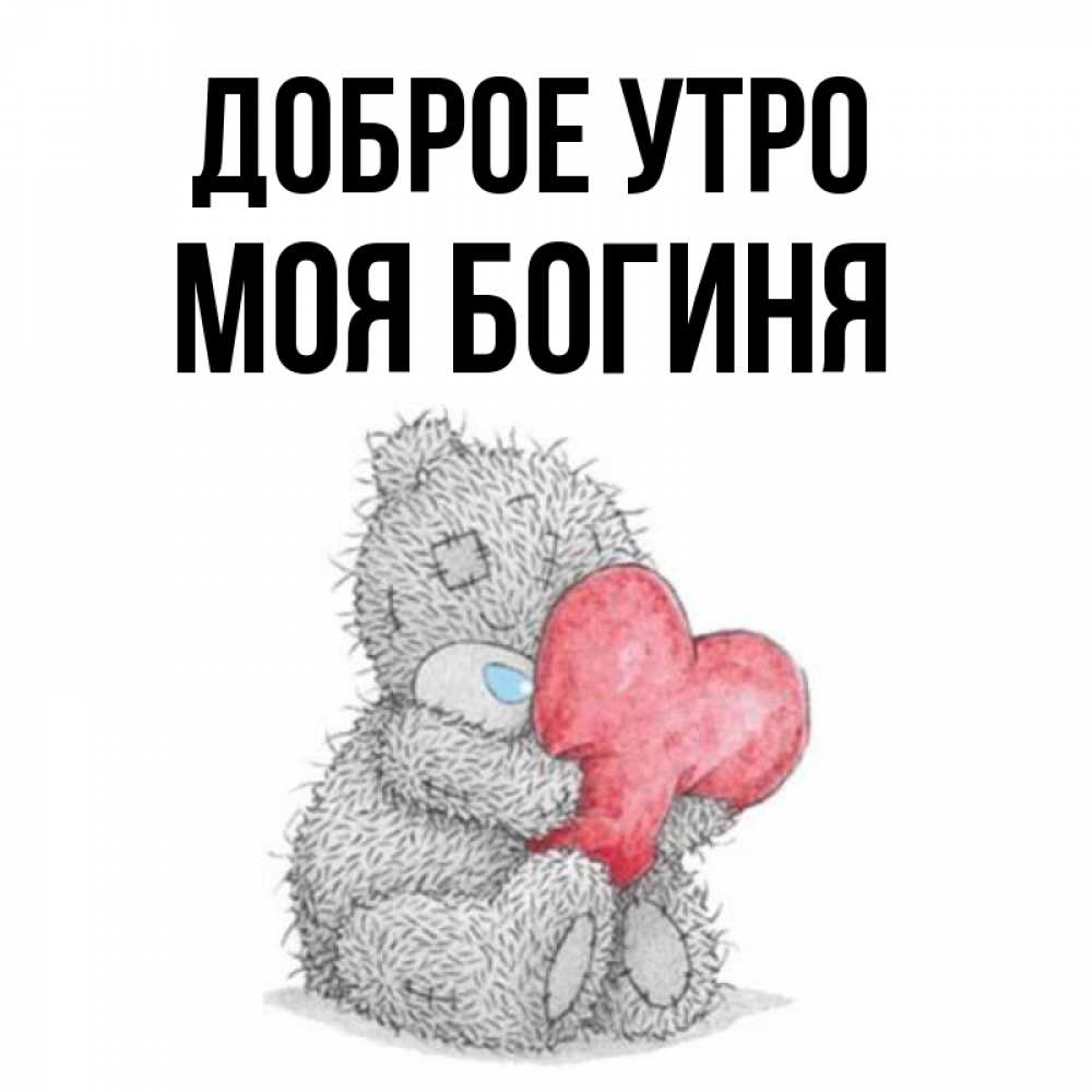 Открытка на каждый день с именем, Моя-богиня Доброе утро плюшевые игрушки Прикольная открытка с пожеланием онлайн скачать бесплатно 
