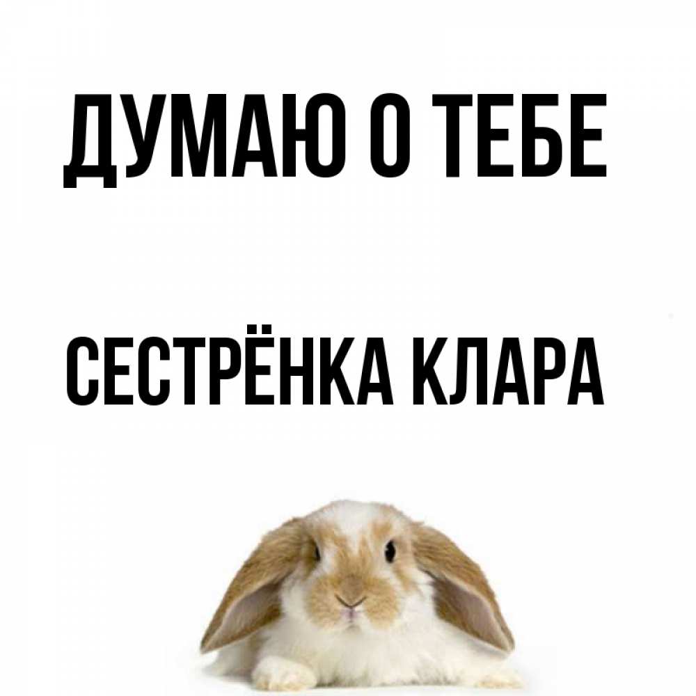 Открытка на каждый день с именем, Сестрёнка-Клара Думаю о тебе подписать своими руками онлайн Прикольная открытка с пожеланием онлайн скачать бесплатно 