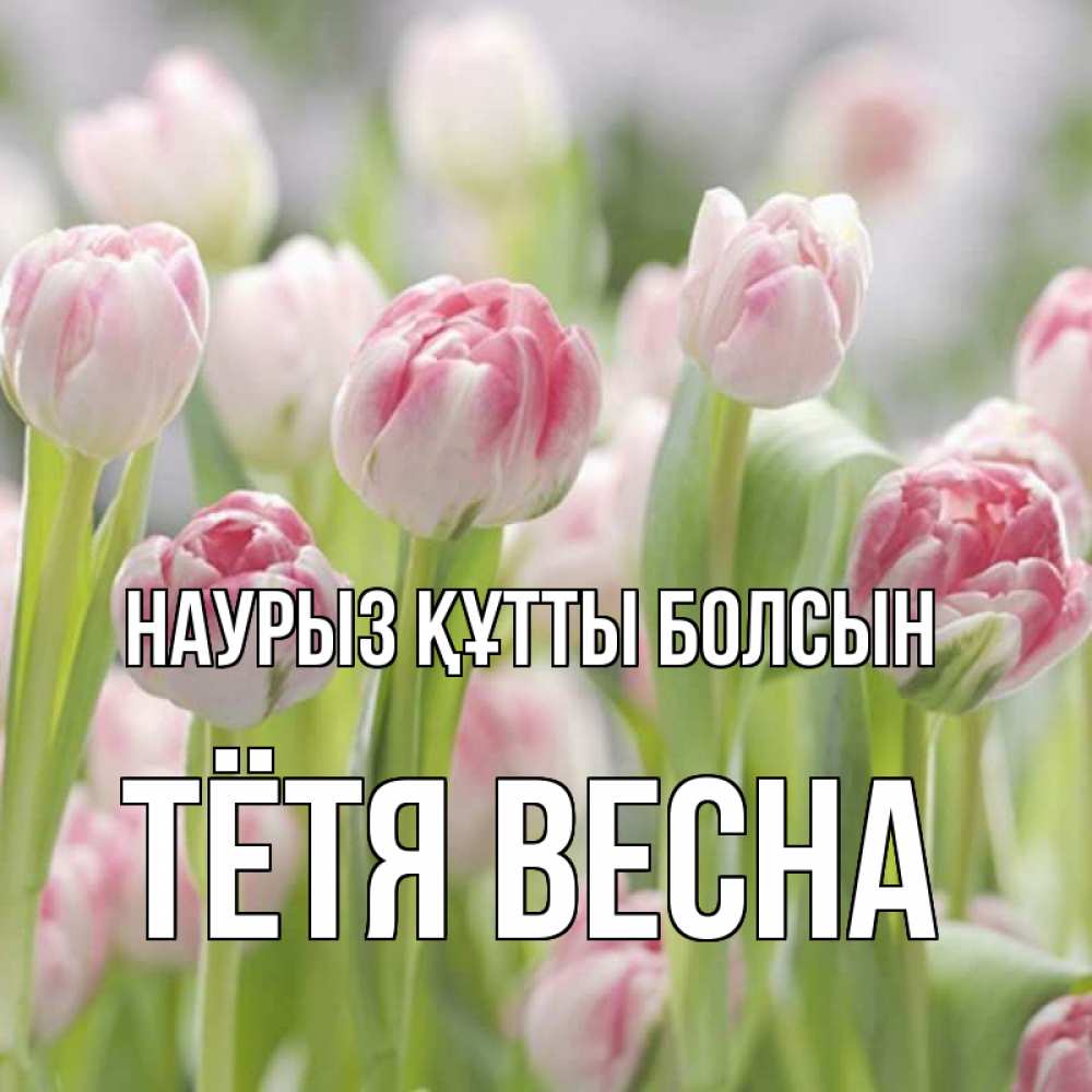Открытка на каждый день с именем, Тётя-Весна Наурыз құтты болсын цветы Прикольная открытка с пожеланием онлайн скачать бесплатно 