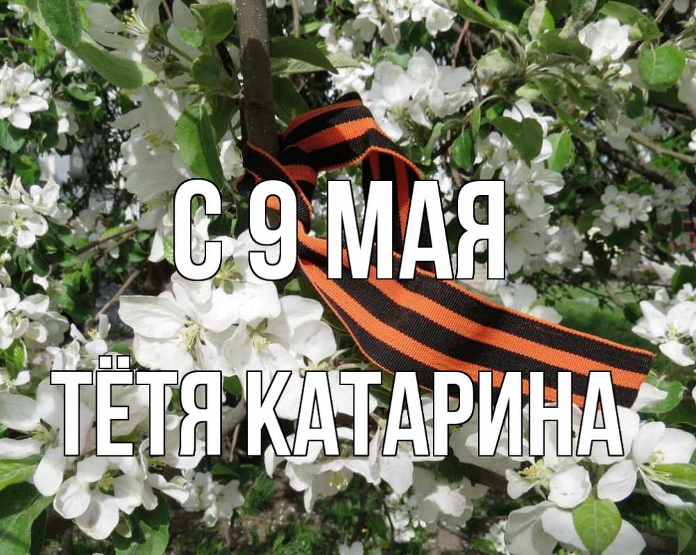 Открытка на каждый день с именем, Тётя-Катарина С 9 мая 9 мая Прикольная открытка с пожеланием онлайн скачать бесплатно 