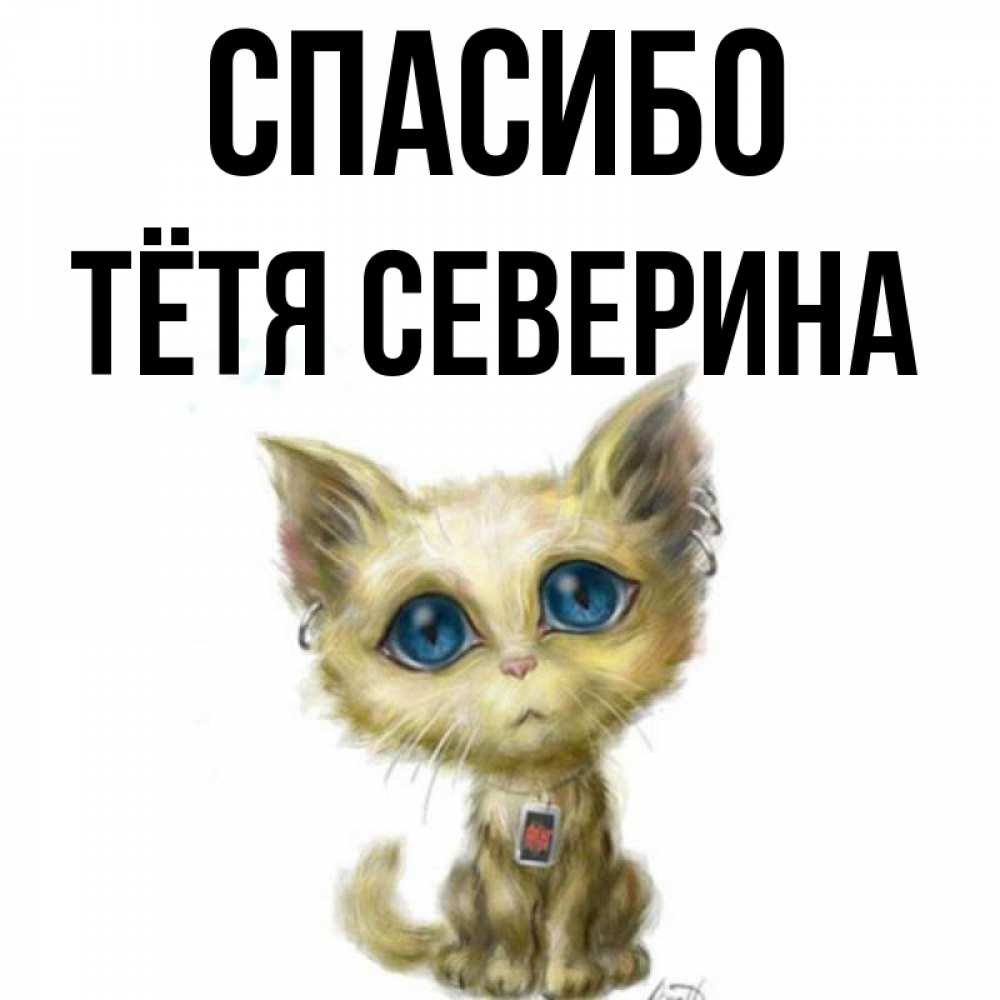 Открытка на каждый день с именем, Тётя-Северина Спасибо рисованный кот благодарит вас Прикольная открытка с пожеланием онлайн скачать бесплатно 