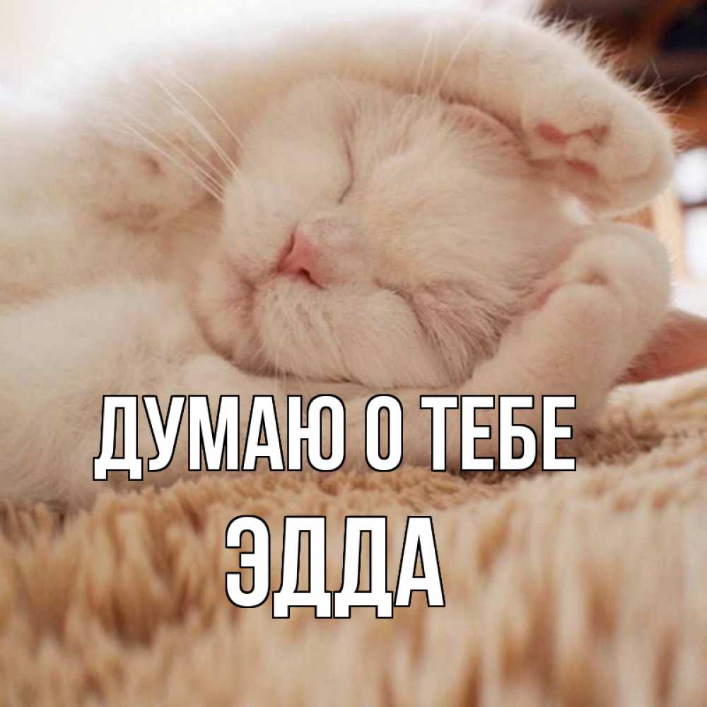 Открытка на каждый день с именем, Эдда Думаю о тебе для любимой девушки милота Прикольная открытка с пожеланием онлайн скачать бесплатно 