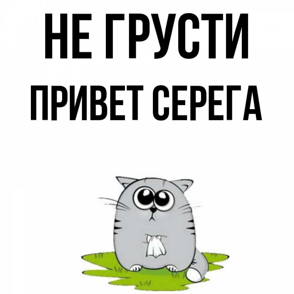 Картинки серега выходи