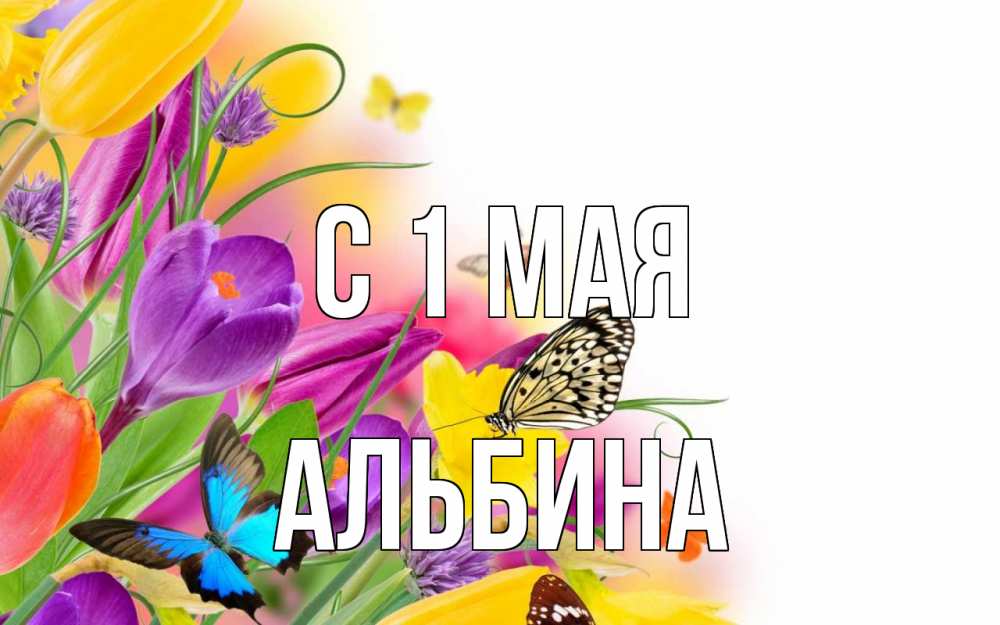 Открытка на каждый день с именем, Альбина С 1 мая С 1 мая Прикольная открытка с пожеланием онлайн скачать бесплатно 