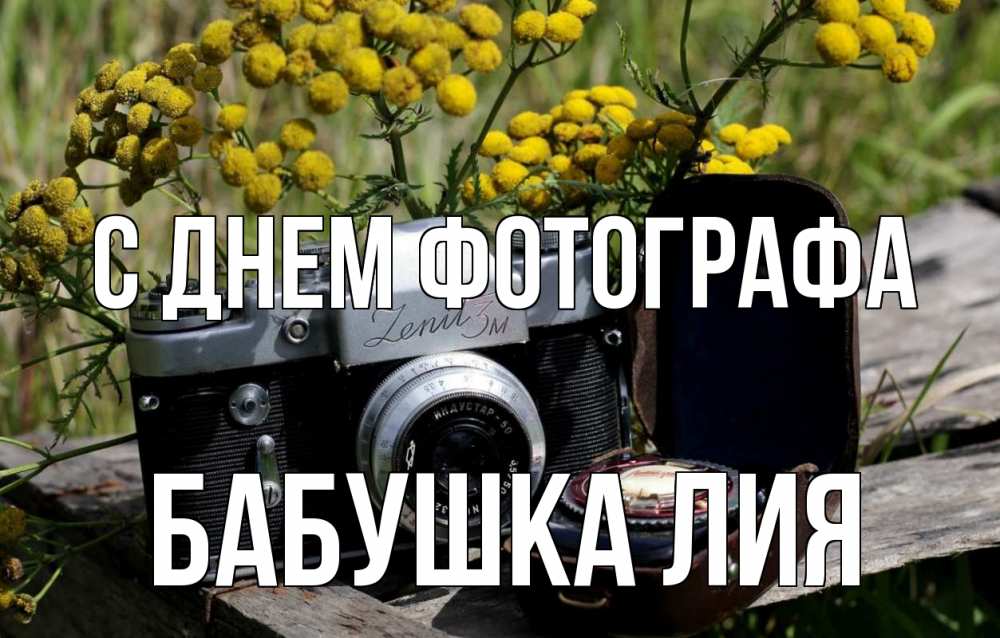 Открытка на каждый день с именем, Бабушка-Лия С днем фотографа с днем фотографа Прикольная открытка с пожеланием онлайн скачать бесплатно 