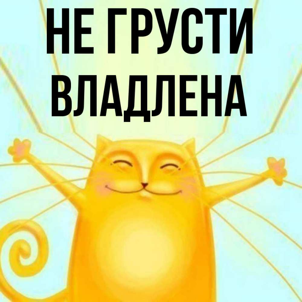 Открытка на каждый день с именем, Владлена Не грусти обнимашки усатые Прикольная открытка с пожеланием онлайн скачать бесплатно 