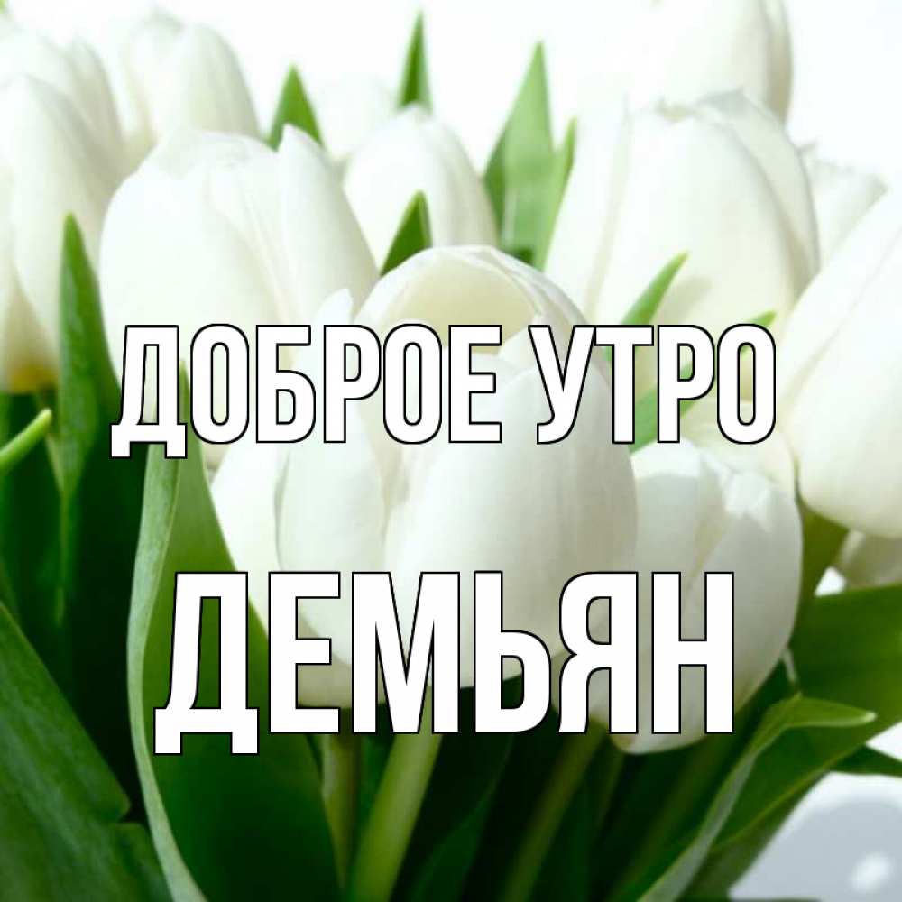 Открытка на каждый день с именем, Демьян Доброе утро открытки на каждый день по именам Прикольная открытка с пожеланием онлайн скачать бесплатно 