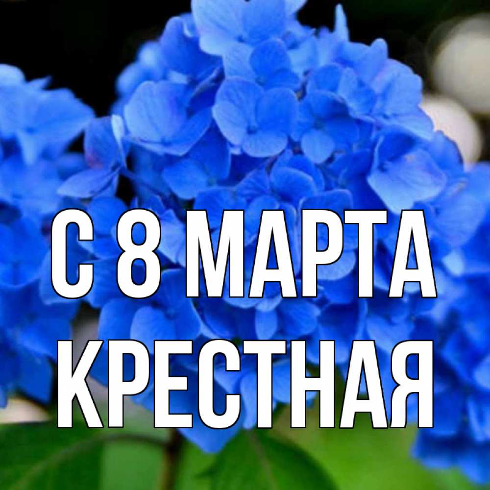Открытка на каждый день с именем, Крестная С 8 марта синие цветы Прикольная открытка с пожеланием онлайн скачать бесплатно 