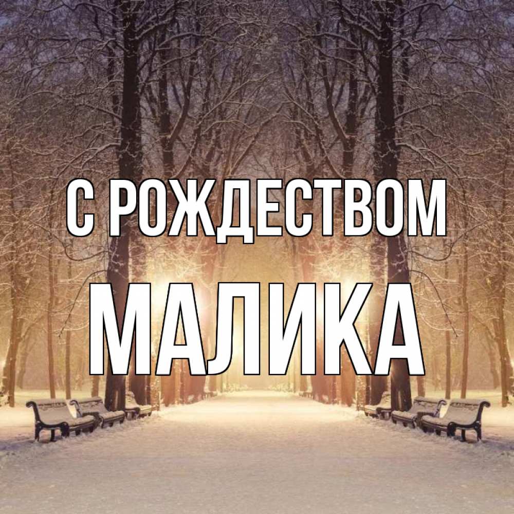 Открытка на каждый день с именем, Малика С рождеством зима, парк, фонарь, лес Прикольная открытка с пожеланием онлайн скачать бесплатно 