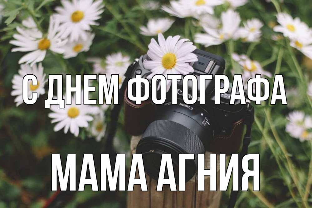 Открытка на каждый день с именем, Мама-Агния С днем фотографа с днем фотографа Прикольная открытка с пожеланием онлайн скачать бесплатно 