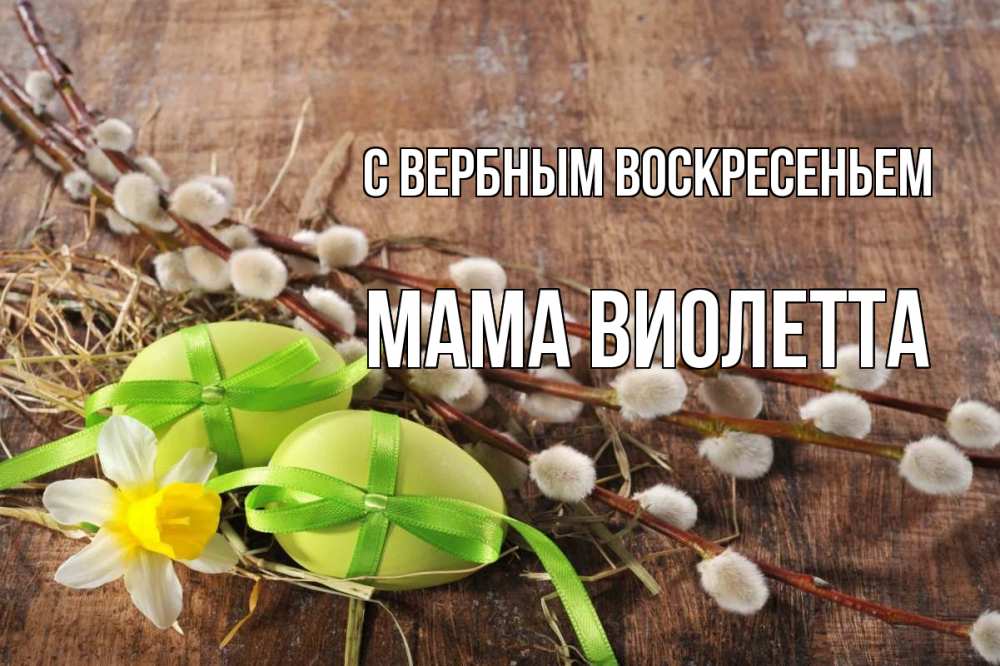 Открытка на каждый день с именем, Мама-Виолетта С вербным воскресеньем верба Прикольная открытка с пожеланием онлайн скачать бесплатно 