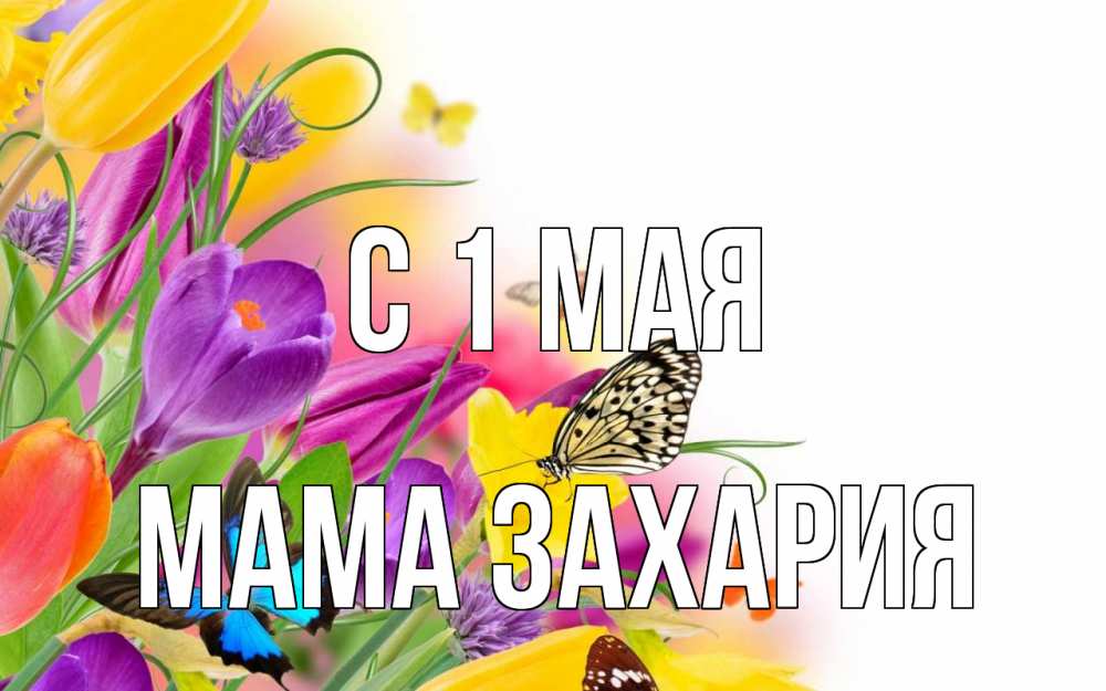 Открытка на каждый день с именем, Мама-Захария С 1 мая С 1 мая Прикольная открытка с пожеланием онлайн скачать бесплатно 