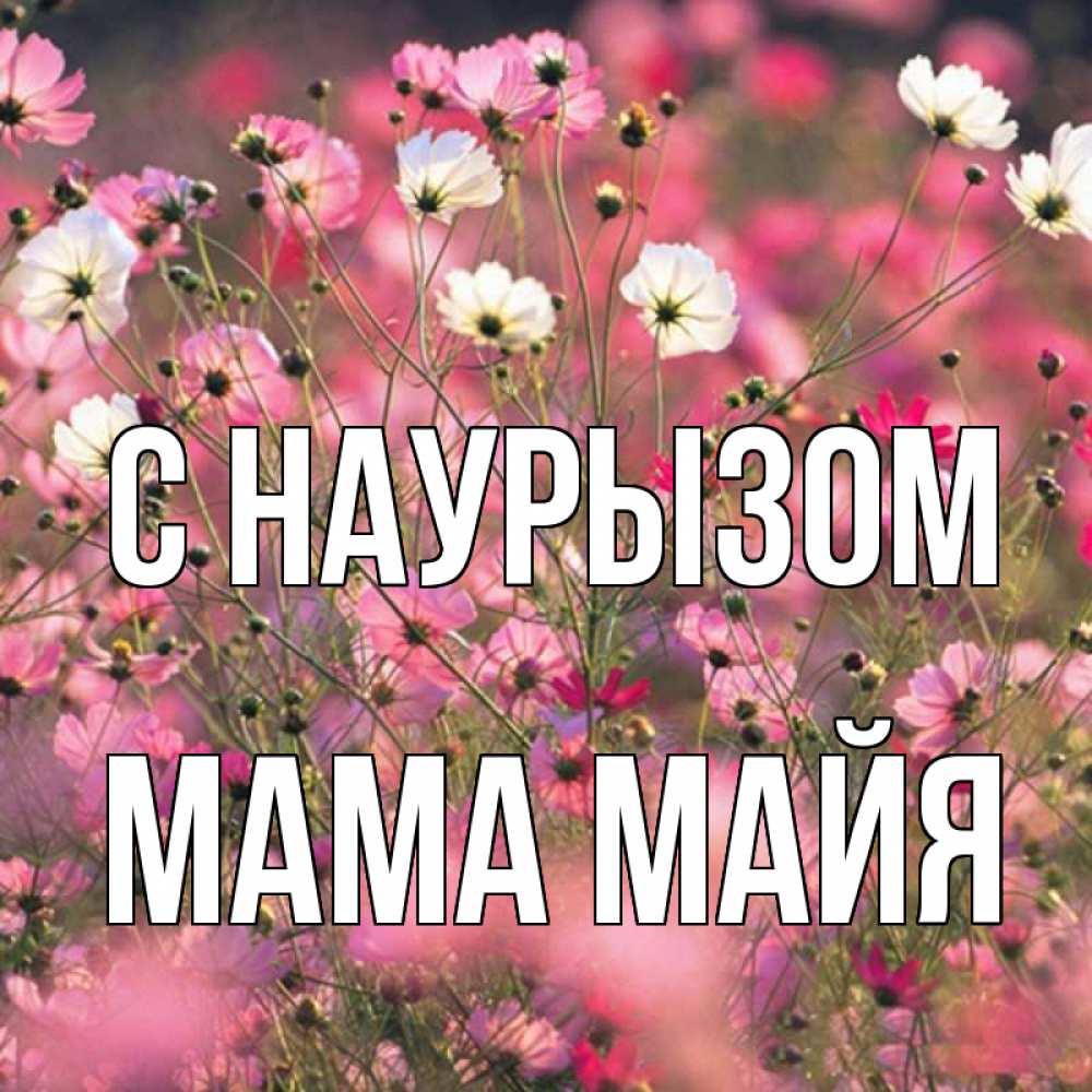 Открытка на каждый день с именем, Мама-Майя С наурызом красиво 1 Прикольная открытка с пожеланием онлайн скачать бесплатно 