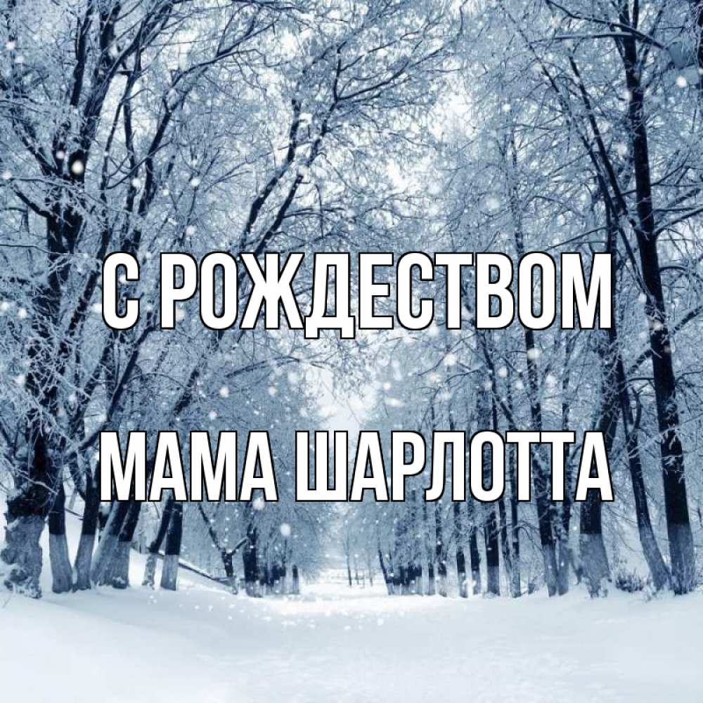 Открытка на каждый день с именем, Мама-Шарлотта С рождеством снег, лес, парк Прикольная открытка с пожеланием онлайн скачать бесплатно 