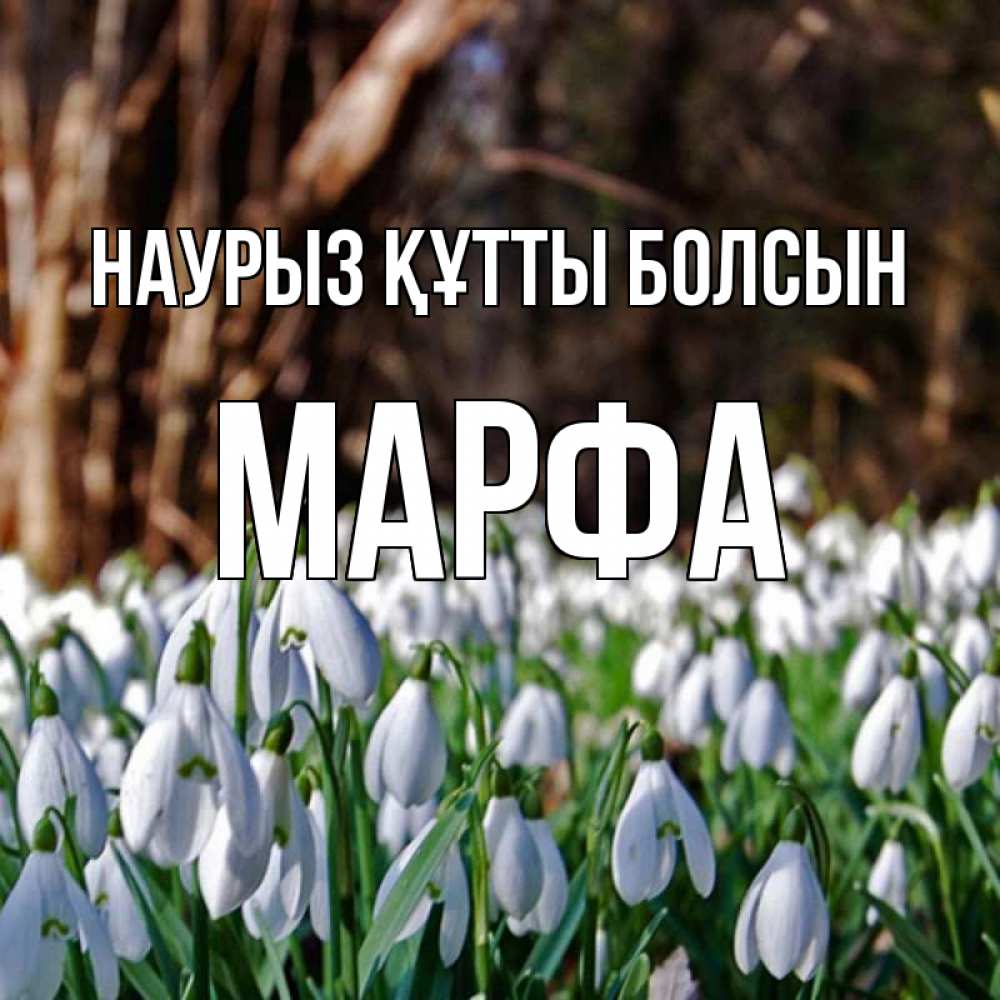 Открытка на каждый день с именем, Марфа Наурыз құтты болсын с подснежниками 1 Прикольная открытка с пожеланием онлайн скачать бесплатно 