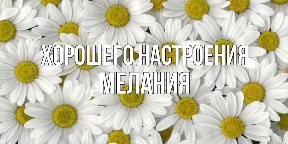 Открытка на каждый день с именем, Мелания Хорошего настроения поляна ромашек Прикольная открытка с пожеланием онлайн скачать бесплатно 