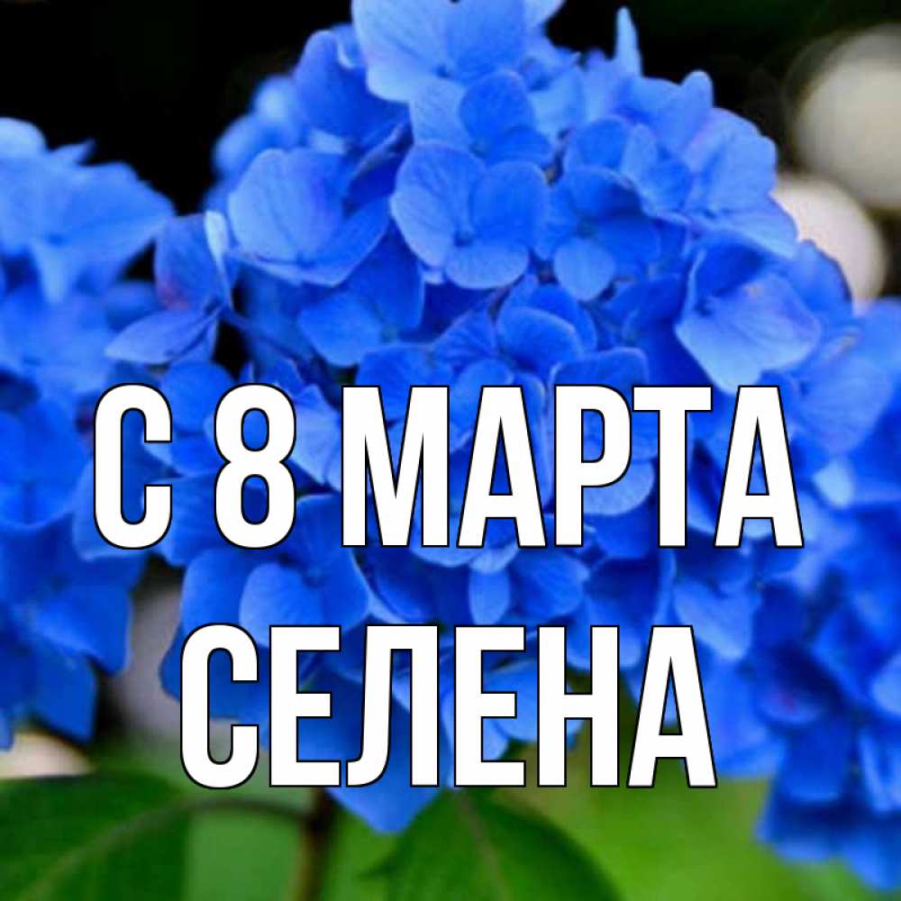 Открытка на каждый день с именем, Селена С 8 МАРТА синие цветы Прикольная открытка с пожеланием онлайн скачать бесплатно 