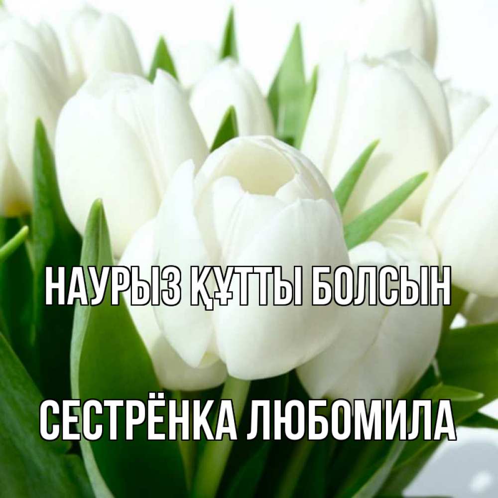 Открытка на каждый день с именем, Сестрёнка-Любомила Наурыз құтты болсын цветы Прикольная открытка с пожеланием онлайн скачать бесплатно 