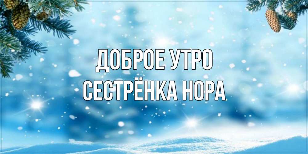 Открытка на каждый день с именем, Сестрёнка-Нора Доброе утро зимнее доброе утро Прикольная открытка с пожеланием онлайн скачать бесплатно 