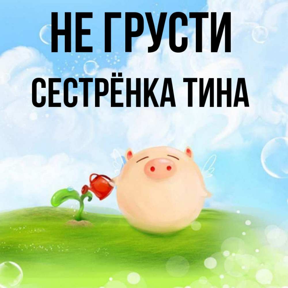 Открытка на каждый день с именем, Сестрёнка-Тина Не грусти поливает цветок порося Прикольная открытка с пожеланием онлайн скачать бесплатно 