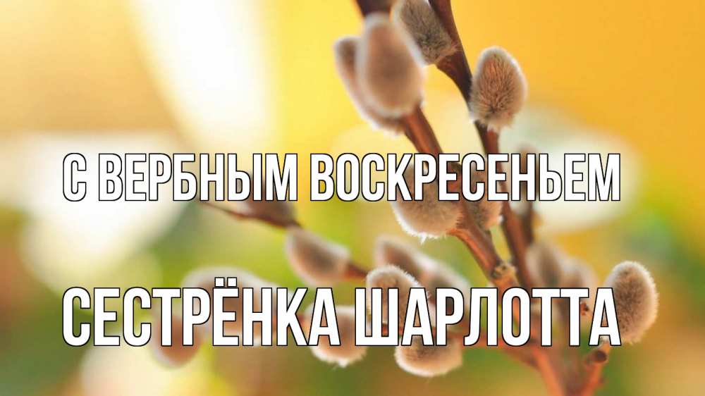 Открытка на каждый день с именем, Сестрёнка-Шарлотта С вербным воскресеньем верба 1 Прикольная открытка с пожеланием онлайн скачать бесплатно 