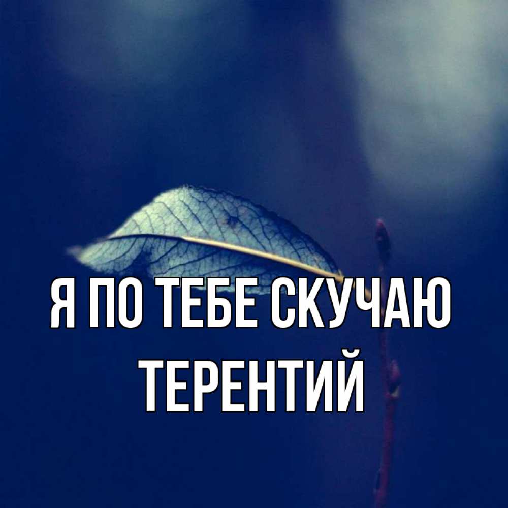 Открытка на каждый день с именем, Терентий Я по тебе скучаю одна ветка 1 Прикольная открытка с пожеланием онлайн скачать бесплатно 