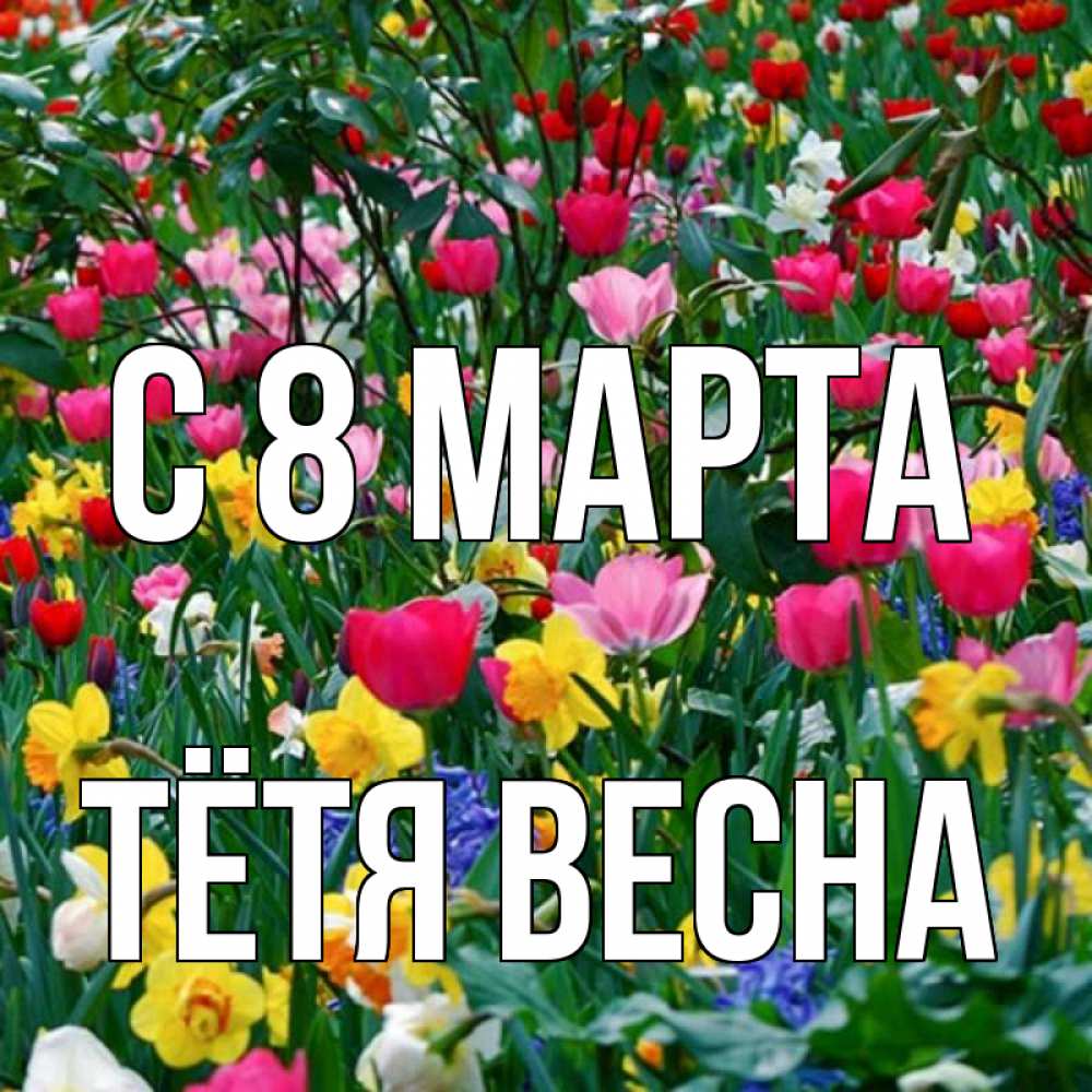 Открытка на каждый день с именем, Тётя-Весна С 8 МАРТА с международным женским днем поздравления для женщины Прикольная открытка с пожеланием онлайн скачать бесплатно 