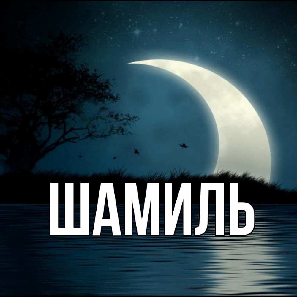Открытка на каждый день с именем, Шамиль Главная вода Прикольная открытка с пожеланием онлайн скачать бесплатно 