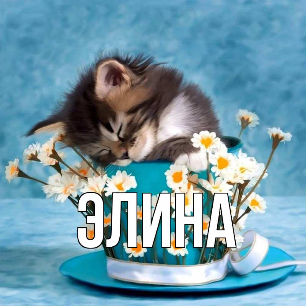 Открытка на каждый день с именем, Элина Главная котенок спит в кружке с блюдцем Прикольная открытка с пожеланием онлайн скачать бесплатно 
