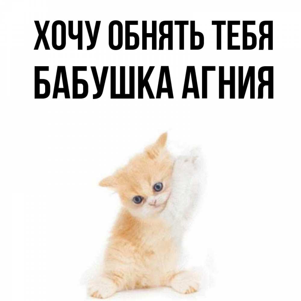 Открытка на каждый день с именем, Бабушка-Агния Хочу обнять тебя я хочу очень скорее обнимаешек Прикольная открытка с пожеланием онлайн скачать бесплатно 