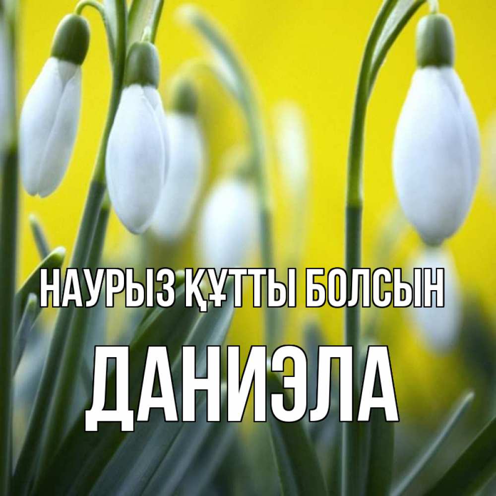 Открытка на каждый день с именем, Даниэла Наурыз құтты болсын весенние цветы Прикольная открытка с пожеланием онлайн скачать бесплатно 