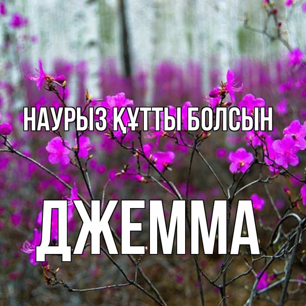 Открытка на каждый день с именем, Джемма Наурыз құтты болсын дикие цветы Прикольная открытка с пожеланием онлайн скачать бесплатно 