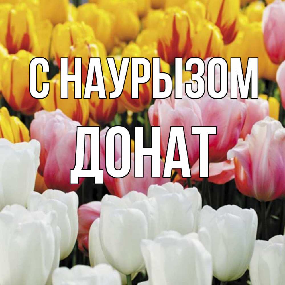 Открытка на каждый день с именем, Донат С наурызом разноцветные цветы Прикольная открытка с пожеланием онлайн скачать бесплатно 