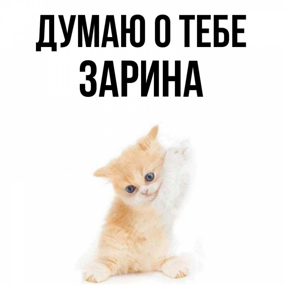 Открытка на каждый день с именем, Зарина Думаю о тебе зверушки и милота Прикольная открытка с пожеланием онлайн скачать бесплатно 