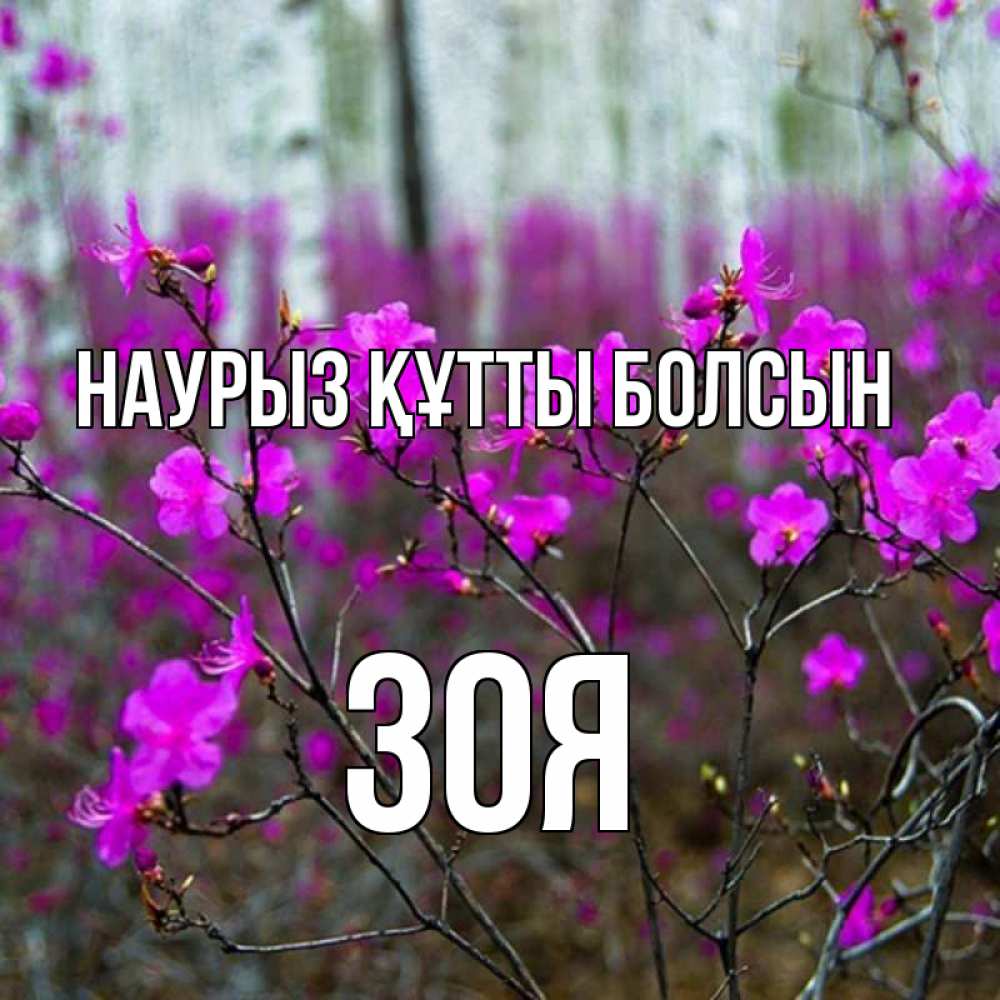 Открытка на каждый день с именем, Зоя Наурыз құтты болсын дикие цветы Прикольная открытка с пожеланием онлайн скачать бесплатно 