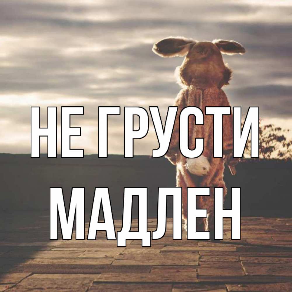 Открытка на каждый день с именем, Мадлен Не грусти со спины Прикольная открытка с пожеланием онлайн скачать бесплатно 