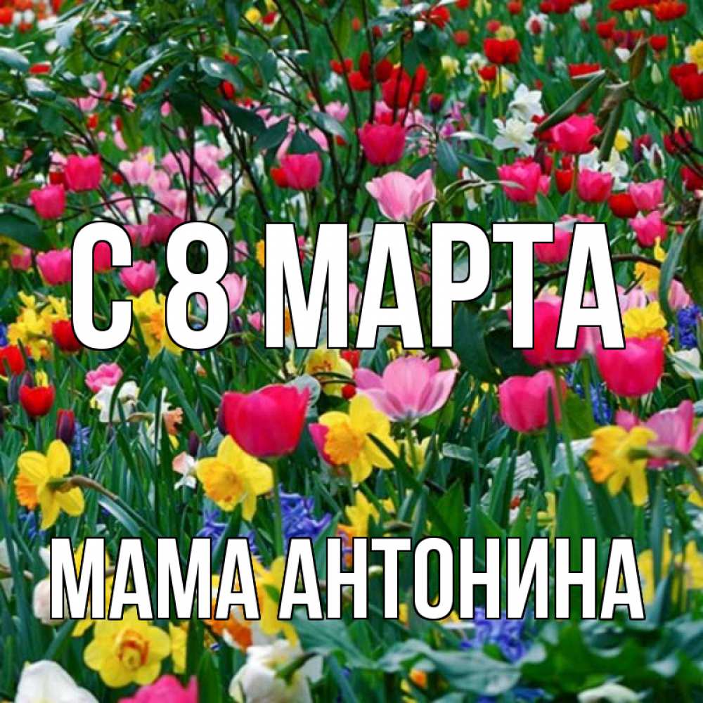 Открытка на каждый день с именем, Мама-Антонина С 8 МАРТА с международным женским днем поздравления для женщины Прикольная открытка с пожеланием онлайн скачать бесплатно 