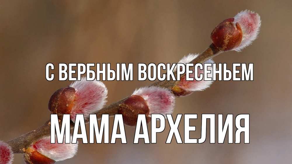 Открытка на каждый день с именем, Мама-Архелия С вербным воскресеньем верба Прикольная открытка с пожеланием онлайн скачать бесплатно 