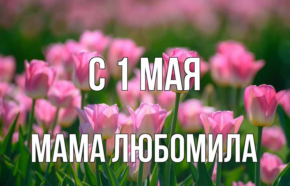 Открытка на каждый день с именем, Мама-Любомила С 1 мая С 1 мая Прикольная открытка с пожеланием онлайн скачать бесплатно 
