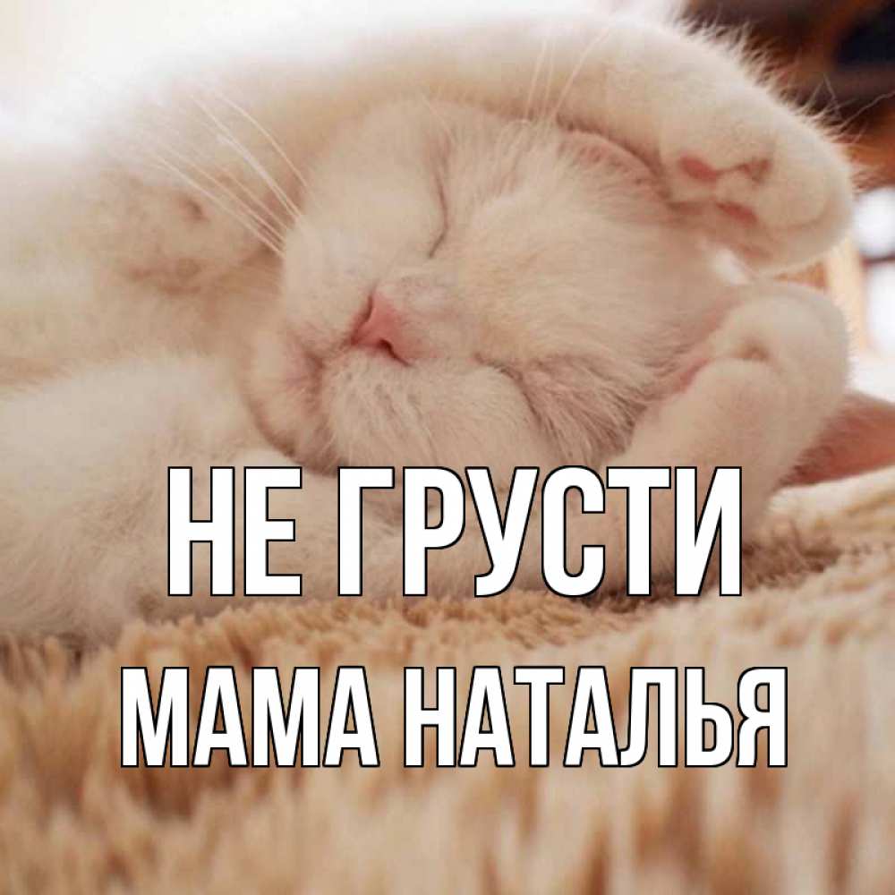 Открытка на каждый день с именем, Мама-Наталья Не грусти белый кот Прикольная открытка с пожеланием онлайн скачать бесплатно 