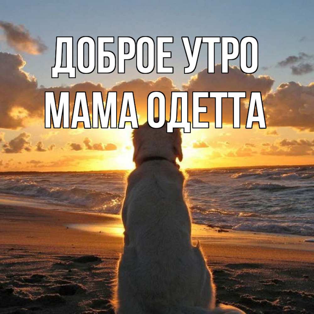 Открытка на каждый день с именем, Мама-Одетта Доброе утро восход солнца Прикольная открытка с пожеланием онлайн скачать бесплатно 