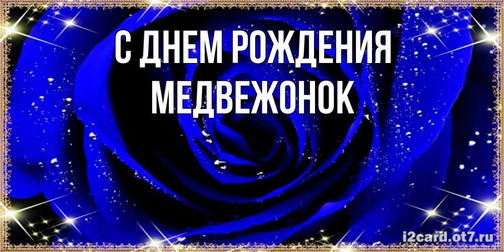 Открытка на каждый день с именем, Медвежонок С днем рождения голубые цветы в росе Прикольная открытка с пожеланием онлайн скачать бесплатно 