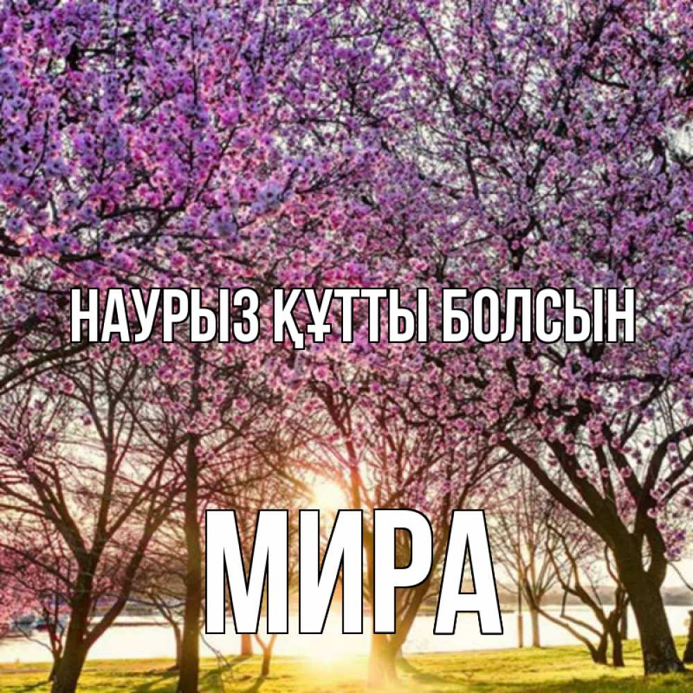 Открытка на каждый день с именем, Мира Наурыз құтты болсын наурыз Прикольная открытка с пожеланием онлайн скачать бесплатно 