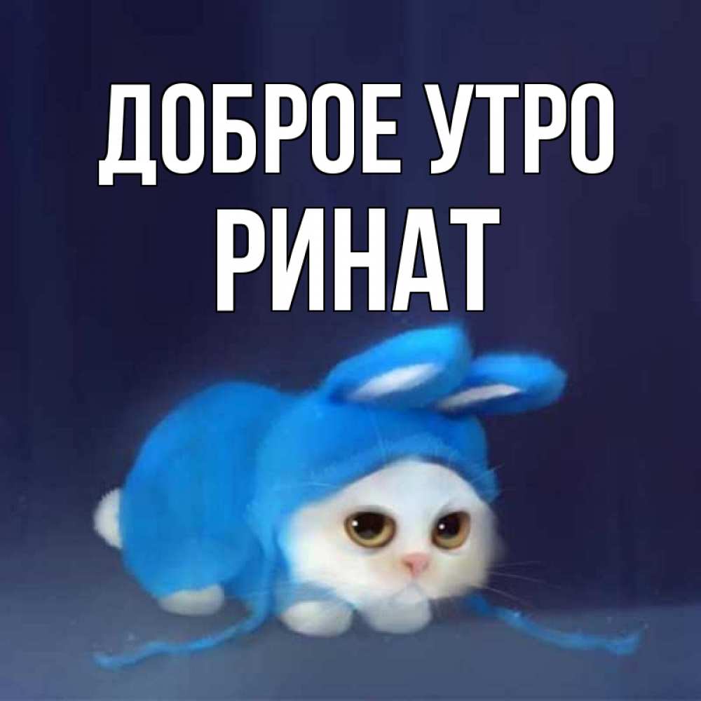 Открытка на каждый день с именем, Ринат Доброе утро открытки красивые скачать бесплатно Прикольная открытка с пожеланием онлайн скачать бесплатно 