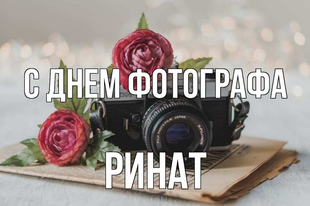 Открытка на каждый день с именем, Ринат С днем фотографа с днем фотографа Прикольная открытка с пожеланием онлайн скачать бесплатно 